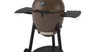 Char-griller Akorn 20-in Kamado Charcoal Grill Review Shop Char Griller Akorn 20 In Brown Kamado Charcoal Grill