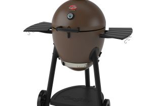 Char-griller Akorn 20-in Kamado Charcoal Grill Review Shop Char Griller Akorn 20 In Brown Kamado Charcoal Grill