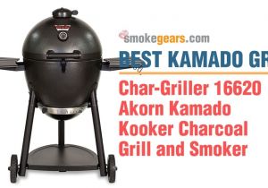 Char-griller Char-griller Kamado Akorn Grill Review Smokegears Com Smokers thermometers Grinder and
