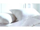 Charisma Pillows Bed Bath and Beyond Feather Pillows Bed Bath and Beyond Pumpsindia Co