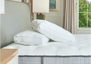 Charisma Pillows Bed Bath and Beyond Lumbar Pillow for Bed Beauresolution Com