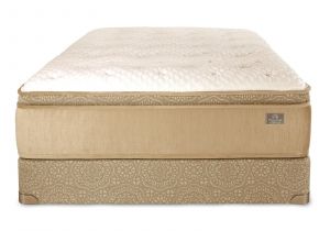 Chattam and Wells Daniella Mattress Reviews Chattam Wells Daniella Luxury Plush Euro top Mattress