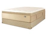 Chattam and Wells Daniella Mattress Reviews Chattam Wells Daniella Luxury Plush Euro top Mattress