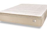 Chattam and Wells Hybrid Mattress Chattam Wells Mattress Carlton Natural Latex Plush Mattress Los