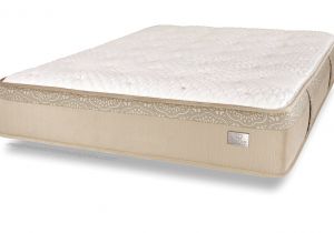 Chattam and Wells Hybrid Mattress Chattam Wells Mattress Carlton Natural Latex Plush Mattress Los