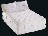 Chattam and Wells Mattress Chattam Wells Pillow tops