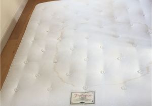 Chattam and Wells Mattress Elizabeth Https En Shpock Com I Wlc4q7 P01gqlbfy 2018 05 22t23 14 14