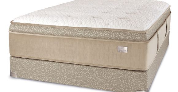 Chattam and Wells Mystique Mattress Chattam Wells Franklin Mattress Euro top