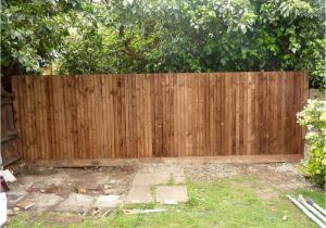 Cheap Easy Privacy Fence Ideas 10 Garden Fence Ideas that Truly Creative Inspiring and Low Cost