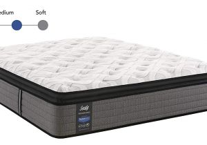 Cheap Mattress Abq Amazon Com Sealy Response Performance 14 Inch Cushion Firm Euro