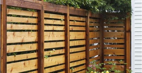 Cheap Privacy Fence Ideas 20 Cheap Privacy Fence Design and Ideas Fomfest Com