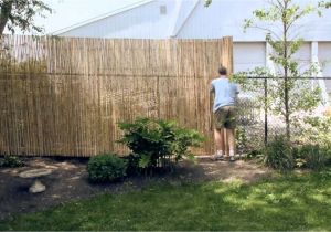 Cheap Privacy Fence Ideas Cheap Diy Privacy Fence Ideas 32 Wartaku Net