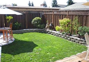 Cheap Privacy Fence Ideas for Backyard 34 Lovely Seven Very Cheap Garden Fence Ideas Ideas