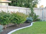 Cheap Privacy Fence Ideas for Backyard Pin by Syera Syailendra On Home Garden Pinterest Backyard and