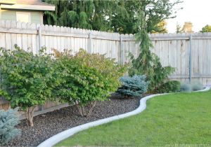 Cheap Privacy Fence Ideas for Backyard Pin by Syera Syailendra On Home Garden Pinterest Backyard and