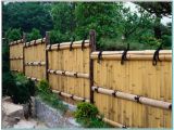 Cheap Privacy Fence Ideas Inexpensive Privacy Fence Ideas torahenfamilia Com