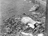 Chesterfield County Waste Pickup Photos From the Archives for March Richmond Times