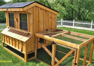 Chicken Coops for Sale In Ma 20 Best Inspired Chicken Coop Run Ideas Creative Maxx Ideas