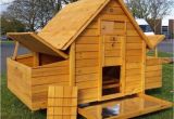 Chicken Coops for Sale In Ma Chicken Coop for Sale In Cirencester Gloucestershire
