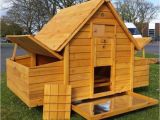 Chicken Coops for Sale In Ma Chicken Coop for Sale In Cirencester Gloucestershire