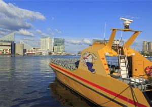 Children S Activities Near Baltimore 14 Things to Do In Baltimore S Inner Harbor