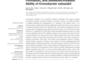 Chinese Food Fargo Nd Delivery Pdf Investigating the Responses Of Cronobacter Sakazakii to Garlic