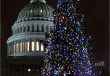 Christmas Light atlanta Ga Every Christmas Tree Worth Visiting In the D C area