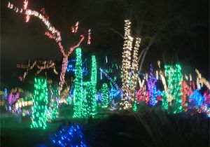 Christmas Light Displays Wichita Ks 2012 Familie Herian In Den Usa