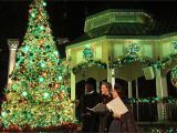 Christmas Light Hanging atlanta Celebrate Christmas at Six Flags In 2018