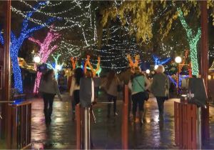 Christmas Light Hanging atlanta Celebrate Christmas at Six Flags In 2018