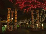 Christmas Light Installation atlanta Celebrate Christmas at Six Flags In 2018