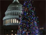 Christmas Light Show atlanta Ga Every Christmas Tree Worth Visiting In the D C area