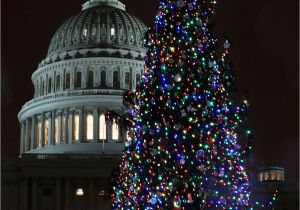 Christmas Light Show atlanta Ga Every Christmas Tree Worth Visiting In the D C area