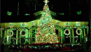 Christmas Light Show atlanta Ga top 10 Places Around atlanta to Celebrate the Holidays