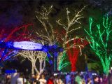 Christmas Light tour Wichita Kansas Join In the Joy at Busch Gardensa Christmas towna Macaroni Kid