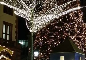 Christmas Light tour Wichita Kansas Sternschnuppenmarkt Pictures Jestpic Com