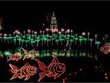 Christmas Light tours Wichita Ks Alaska