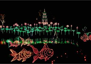 Christmas Light tours Wichita Ks Alaska