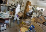 Cleaning A Hoarder S House Home Clean Outs Clean Out foreclosed Homes for A