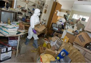 Cleaning A Hoarder S House Home Clean Outs Clean Out foreclosed Homes for A