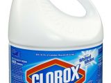 Clorox Bleach and Bed Bugs 11 Best Images About Bed Bugs Treatment On Pinterest