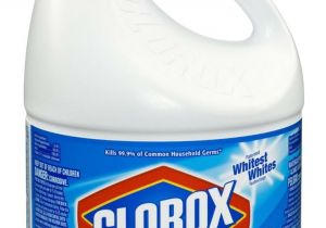 Clorox Bleach and Bed Bugs 11 Best Images About Bed Bugs Treatment On Pinterest