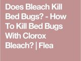 Clorox Bleach and Bed Bugs 17 Best Ideas About Killing Bed Bugs On Pinterest What