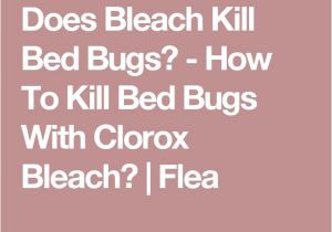 Clorox Bleach and Bed Bugs 17 Best Ideas About Killing Bed Bugs On Pinterest What