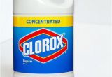 Clorox Bleach and Bed Bugs Can Bleach Kill Bed Bugs 28 Images Can Bleach Kill Bed