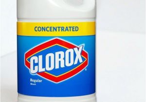 Clorox Bleach and Bed Bugs Can Bleach Kill Bed Bugs 28 Images Can Bleach Kill Bed