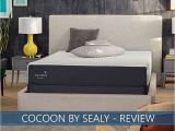 Cocoon by Sealy Reviews Cocoon by Sealy Mattress Review Chill Model In Depth