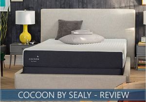 Cocoon by Sealy Reviews Cocoon by Sealy Mattress Review Chill Model In Depth