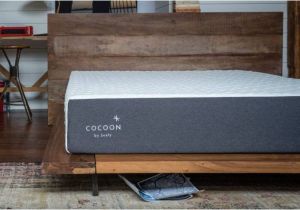 Cocoon by Sealy Reviews Cocoon by Sealy