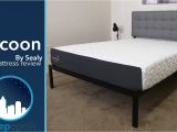 Cocoon by Sealy Reviews Sealy Cocoon Mattress Review Youtube